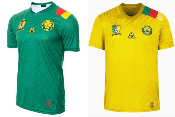 WM 2022 Trikot Kamerun