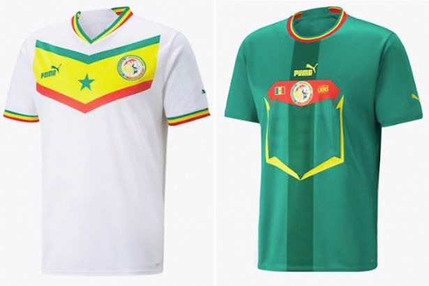 WM 2022 Trikot Senegal